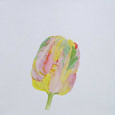 Tulpe 07-H-01