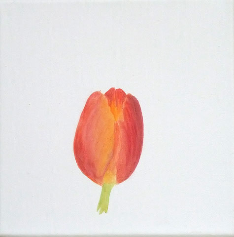 Tulpe 08-F-01