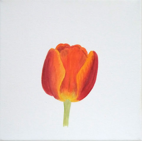 Tulpe 08-F-03