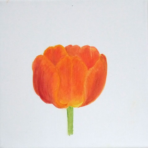 Tulpe 08-F-04