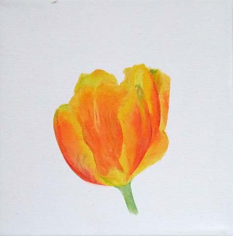 Tulpe 08-K-03