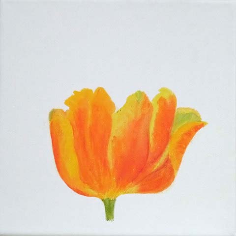 Tulpe 08-K-04