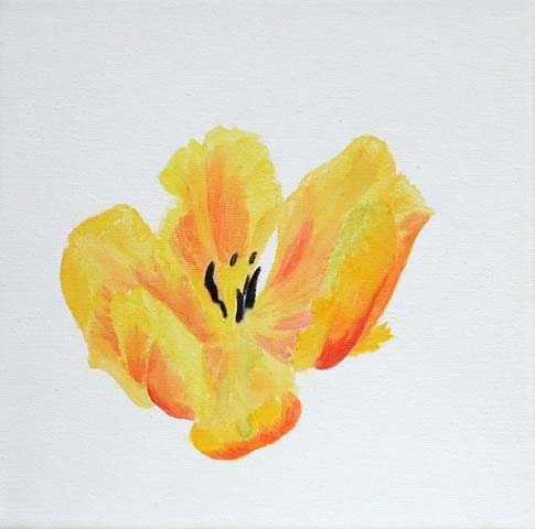 Tulpe 08-K-05