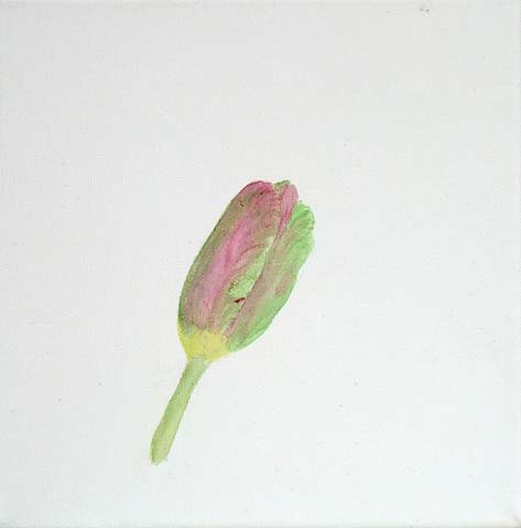 Tulpe 08-L-01